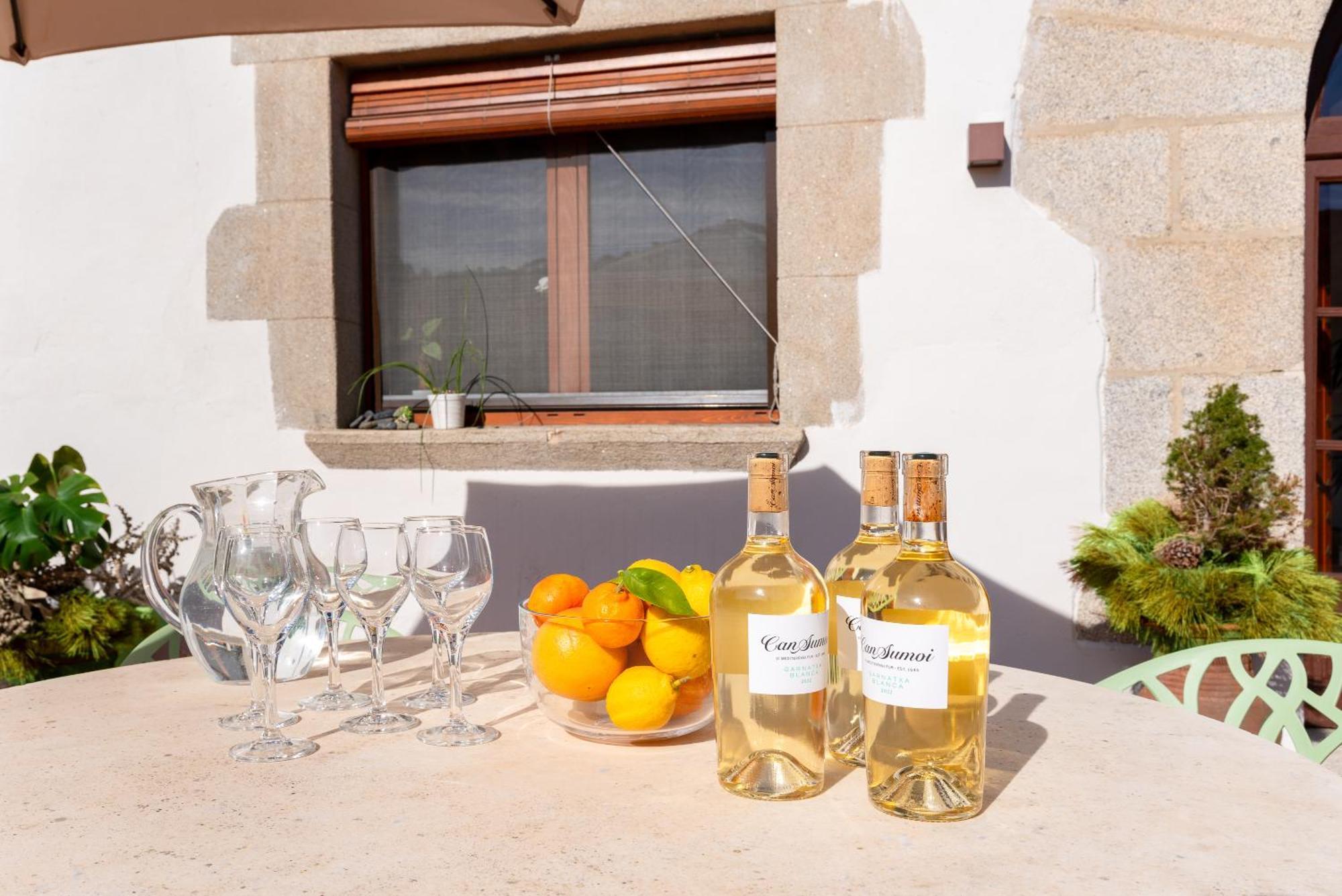 La Terraza - Grosszuegiges Appartment In Katalanischer Masia Sant Iscle De Vallalta Luaran gambar